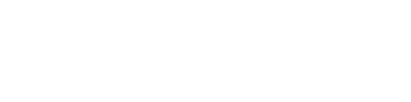 浪潮铸远